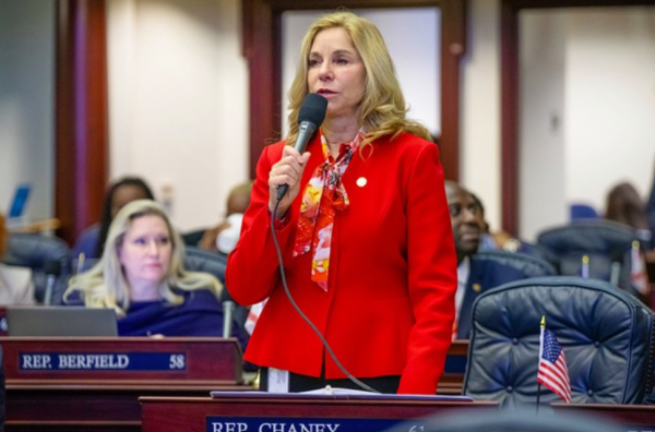 Pictured above: Florida Republican Linda Chaney, 
credits: Orlando Weekly
https://www.orlandoweekly.com/news/house-republicans-vote-to-rollback-child-labor-laws-in-florida-36099179